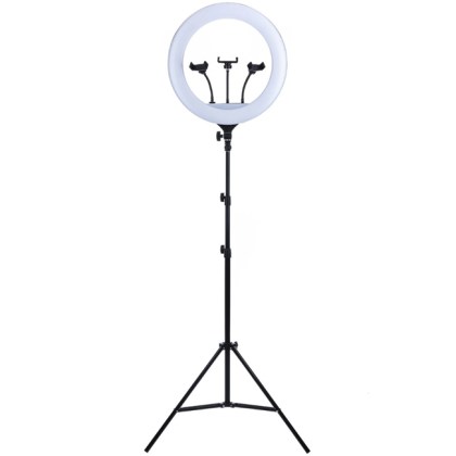ring light 22